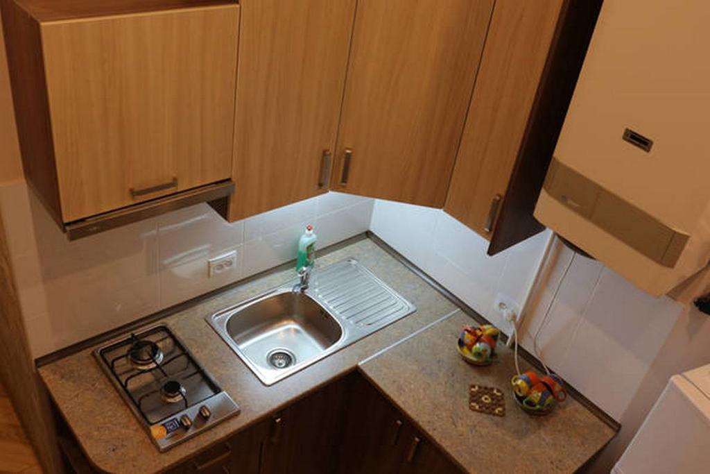Appartement Horodotska 60 à Lviv Extérieur photo