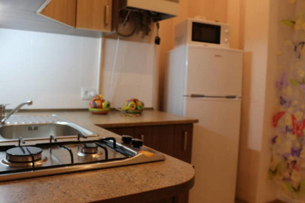 Appartement Horodotska 60 à Lviv Extérieur photo